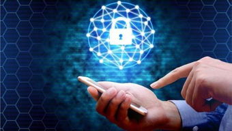 網(wǎng)絡(luò)安全威脅加劇 物聯(lián)網(wǎng)時代下，行為生物識別技術(shù)或成終極守護(hù)者