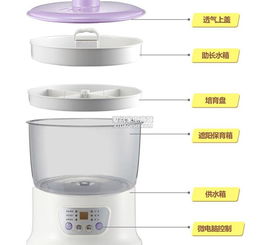 北京小熊DYJ-S6108豆芽機批發代理廠家、產品信息與技術開發全解析